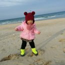 대철네