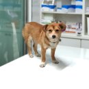 이섭대천로 이미지