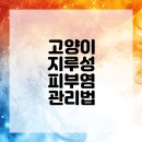 하나사랑동물병원 이미지