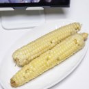 해동농장 | 괴산 대학 찰옥수수 추천은.. 솔직히 아쉬웠던 내돈내산 후기입니다