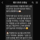 행꼬(행복한 꼬마 거북이) 이미지