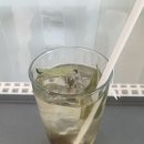 바람약과