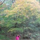 열목어마을 이미지