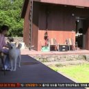 냥냥민박