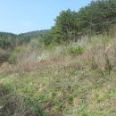 무주읍197 이미지