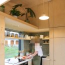 배꼽하우스 이미지