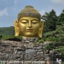 다시만나는사람들 | 용인 와우정사 후기 | 무료로 만나는 웅장한 불두와 와불, 혼자 다녀온 힐링 여행