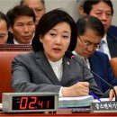 박영선 카카오 검색결과