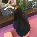 영대중목욕탕 | 🍊 Jeju