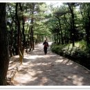 다대1동-26 이미지