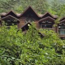 태백고원자연휴양림 이미지