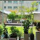 사직부부치과의원 이미지