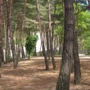 진부(오대산)관광농원 이미지