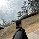 인뽑GO 네이버블로그