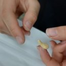 조성초등학교 이미지