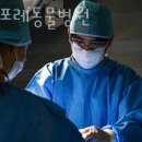 판교포레동물병원 이미지