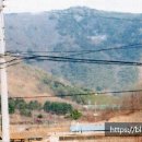밀양시(상동교) 네이버블로그