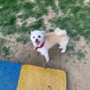 푼타하우스 이미지