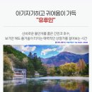 봄봄여행사