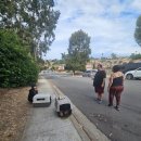 길가에 버려진 개를 구조한 한인 모녀(San Diego, California) 이미지