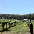 일주농장 이미지