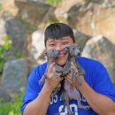 도그의 품격 이미지