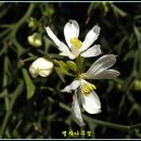 까치울역 2번 출구 이미지