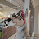 산단약국 이미지