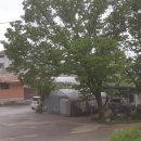 봄뜰에농장 이미지