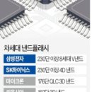 금보유전자 이미지