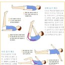 키성장체조 이미지
