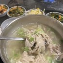 후떡 - 용산구 효창원로40길 3-3 | 후떡