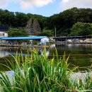 새미 낚시터 이미지