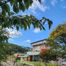 한밤실마을 이미지