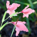 August October (여름과 가을 사이): 이미지