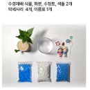 구세군 꿈을심는지역아동센터 | 식목일 체험 프로그램 행운목, 테이블야자, 홍콩야자 수경식물심기체험 봄 원예수업 원예재료키트