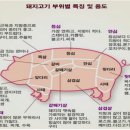 고기울림