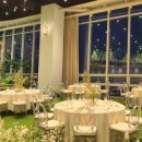 다르미앙 이미지