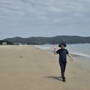 상산 티스토리