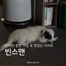 동인천 밤 12시까지 하는 신포역카페 [빈스맨] 크림뷔릴레, 티라미수 수건케이크 솔직후기