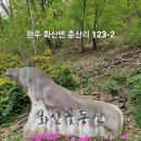 완주군 화산면 화산꽃동산(2023. 4. 23.) 이미지