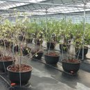 고향산천농장 이미지