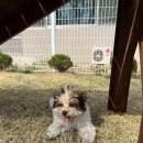 호텔 델루멍
