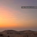 뽑자오빠 | 두바이 사막투어 오전타임 시간, 복장, 가격 후기