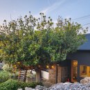 막다른 둥지 이미지