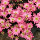 산정농장 이미지