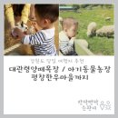 은환농장 | 아이와 함께 여행 : 강원도 당일치기 여행지 추천 : 평창 대관령 양떼목장 / 아기동물농장 / 평창한우마을