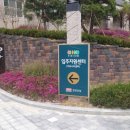도안지구 네이버블로그