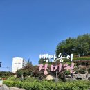 부천 "장미원 축제" 걷기 모임 이미지