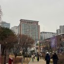 7567 | 홍대 연남동 맛집 몽중식 러브액츄얼리 런치 후기 +26년 테마, 예약, 가격, 주차